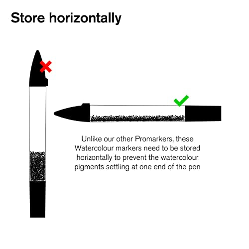 Winsor & Newton 290165 Promarker - Rotulador de acuarela, juego de 12, tonos básicos, 12 unidades