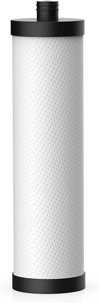 Frizzlife PLC10 - Filtro de repuesto para filtro de agua debajo del fregadero FK99/FP99/SW10/SW10F