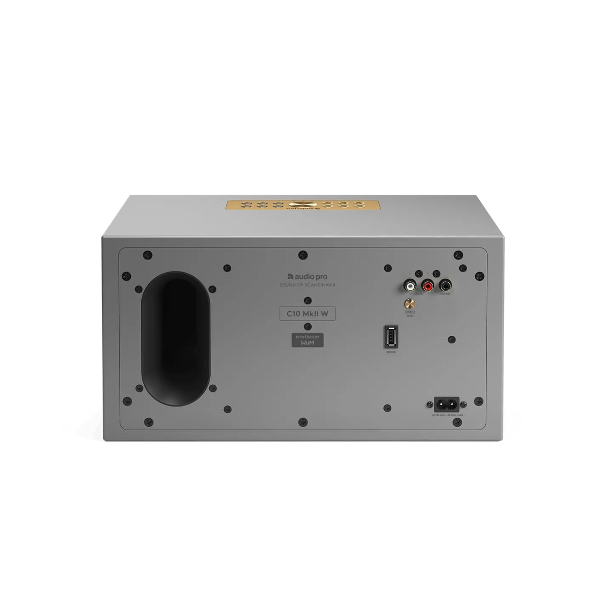 Altavoz Multihabitación Audio Pro C10 MkII Gris WiFi y Bluetooth