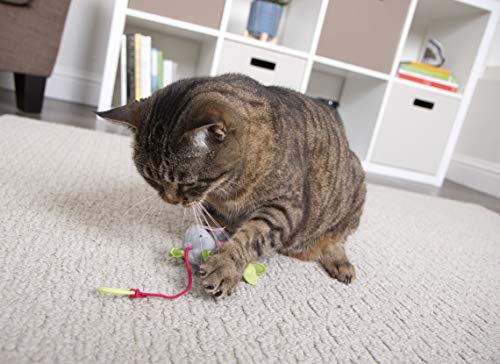 Juguete de Peluche SmartyKat ratón Hinchable para Gatos Talla única