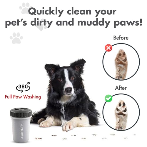 Dexas Lidded MudBuster Limpiador portátil para patas de perro, gris claro, mediano con tapa