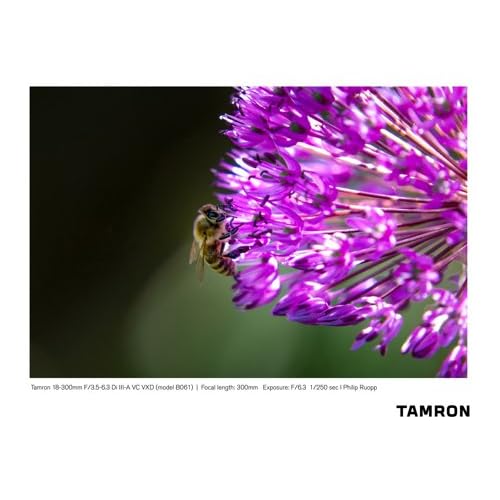 Lente Tamron 18-300mm F/3.5-6.3 Di III-A VC VXD Fujifilm X-Mount