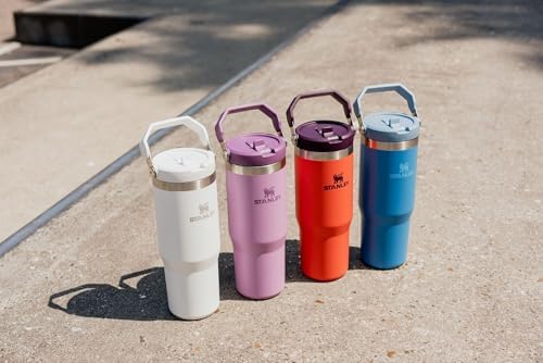 Vaso Stanley Ciruela Tigerlily con Pajita Abatible y Asa, 30 Onzas, Acero Inoxidable Aislado Resistente a Fugas