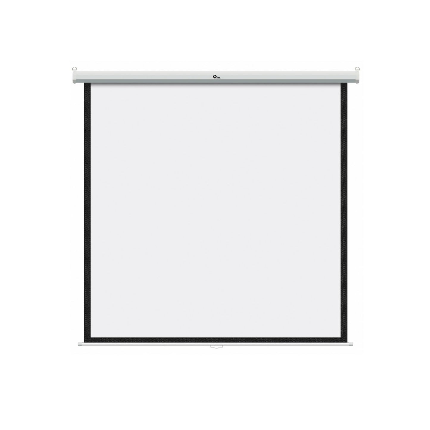 Qian Pantalla de proyección 100 Pulgadas. Pantalla de Proyecto HD desplegable Manual gudin portátil, Blanco Mate.