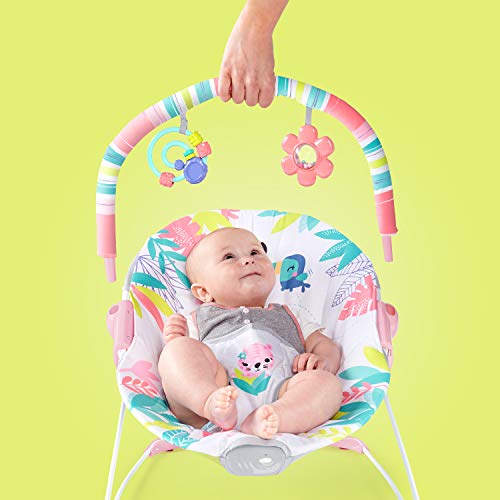 Bright Starts Mecedora Con Motivos De Flamingos Con Arés De 3 Puntos, Pink, Paquete De 2380.0 Grams