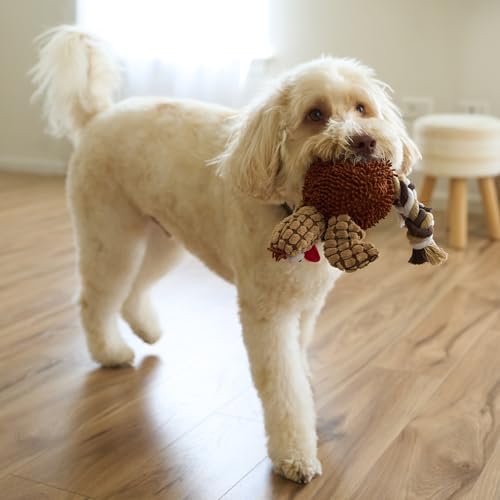 Juguete para Perros Ethical Pets Pollo Gigglers Multicolor