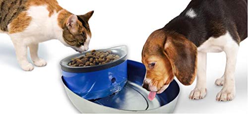 Filtros en Forma de T Pioneer Pet 3 Pack para Alimentos, Agua y Fuente Serena