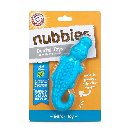 Arm & Hammer Juguete Dental para Perro Nubbies Cocodrilo