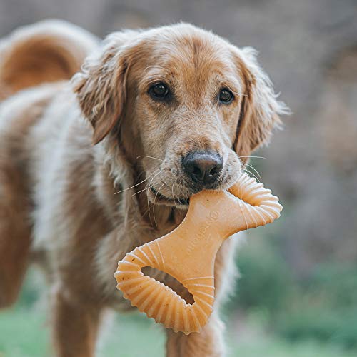 Benebone Dental Dog Chew Toy for Aggressive Chewers, Long Lasting, Made in USA, Large, Real Peanut Flavor