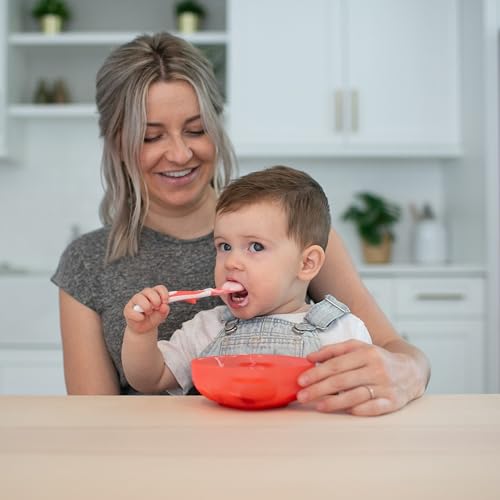 Cucharas de alimentación para niños de punta suave Dr. Brown's, 6 unidades, multicolor