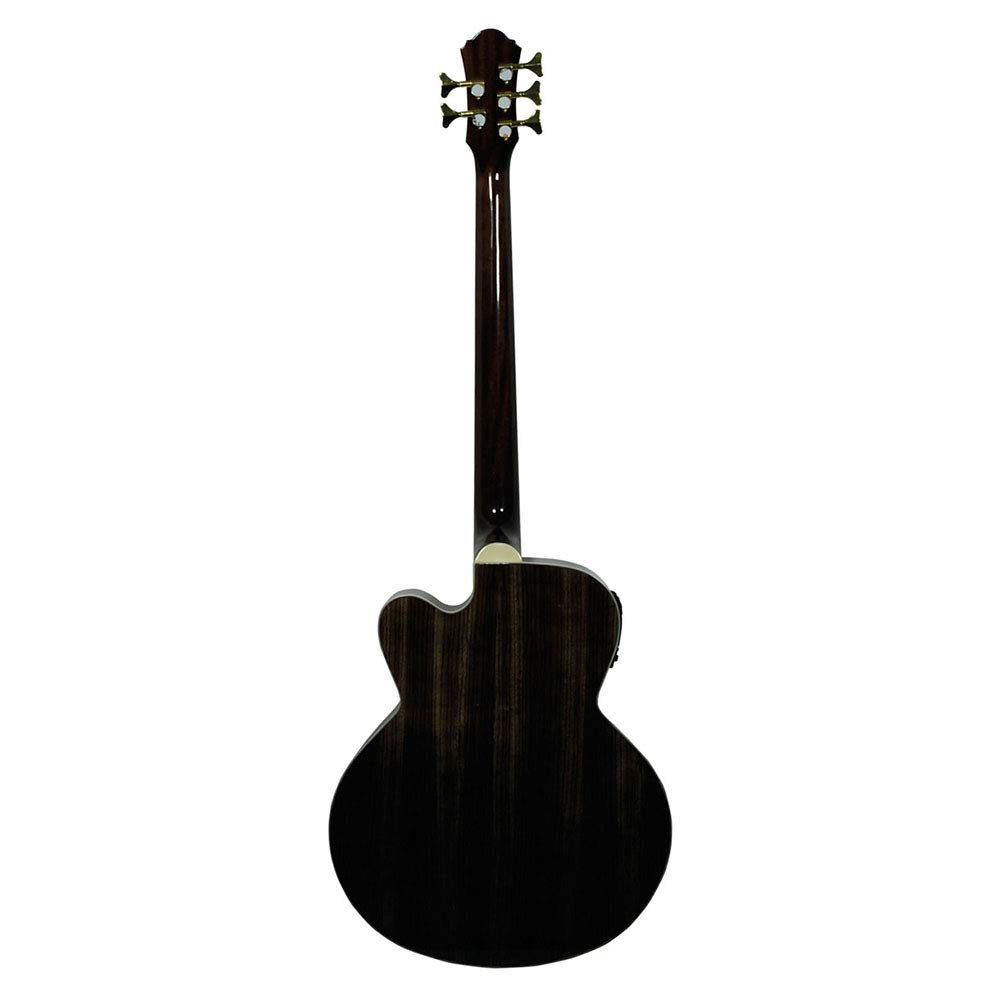 Bajo Electroacústico de 5 cuerdas La Sevillana B-1005CEQ color negro transparente