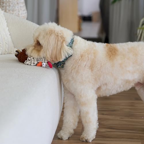 Juguete para Perros Ethical Pets Pollo Gigglers Multicolor