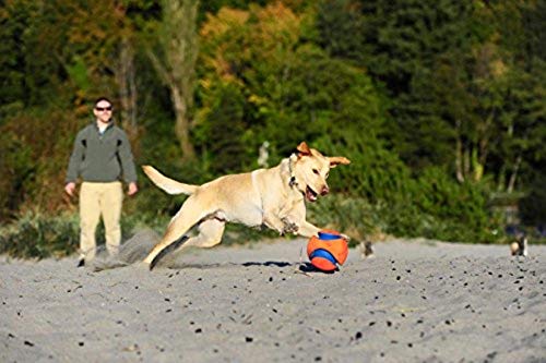 Chuckit! Kick Fetch Pelota de Juguete para Perros, Multicolor, Pequeño