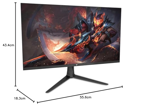 Monitor Gaming YEYIAN VA 25 Pulgadas Negro G-Sync Compatible Freesync Premium para Hombre y Mujer