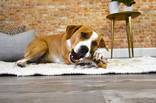 Juguete para Perro Nylabone Hueso de Horquilla Gourmet Grande/Gigante