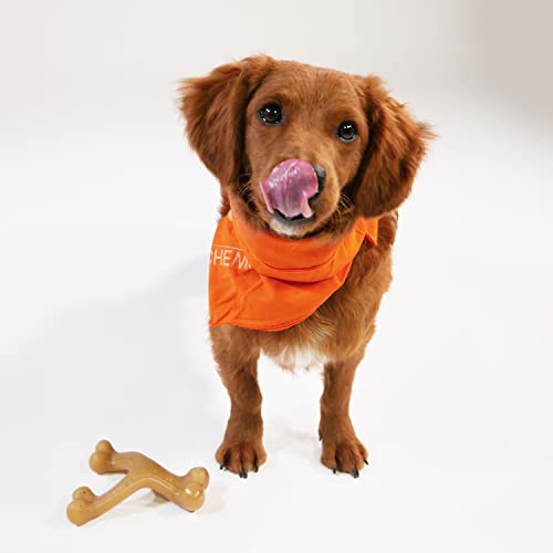 Juguete para Perro Nylabone Hueso de Horquilla Gourmet Grande/Gigante