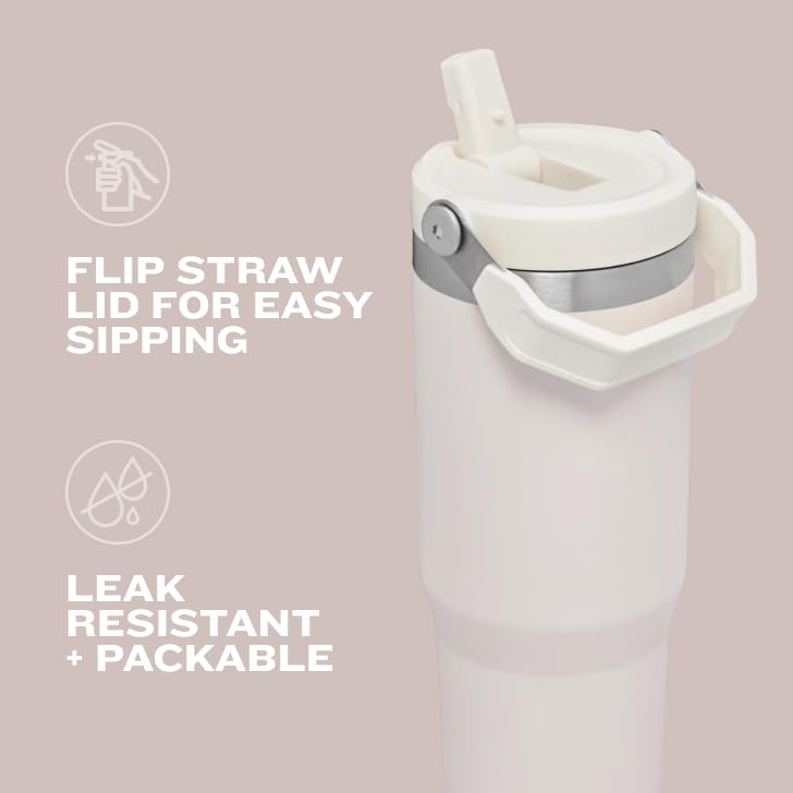 Vaso Stanley ciruela con Asa y Popote Abatible, 20 onzas, Acero Inoxidable Aislado, Resistente a Fugas, sin BPA