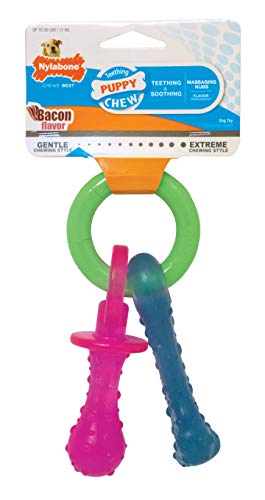 Hueso Nylabone TFN330P Rosa Dentando Talla Extra Chico