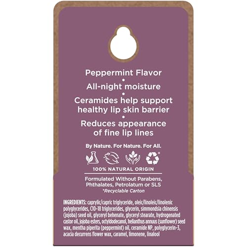 Burt's Bees 100% Natural Overnight Intensive Lip Treatment, Ultra-Conditioning Lip Care, 0.25 ounce