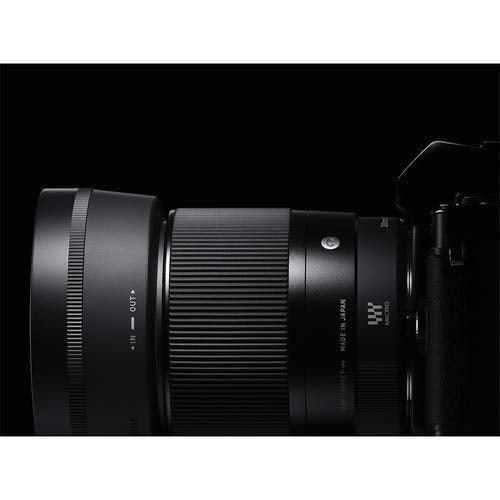 Sigma Lente DC DN de 30 mm, F1.4, contemporánea, para Sony E con paquete de accesorios fotográficos Sunshine - 4 años de garantía del fabricante en EE. UU