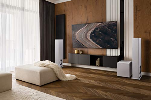 Definitive Technology Descend DN10 Subwoofer de 10 Pulgadas optimizado digitalmente para películas y música, Nueva Arquitectura 3XR, Amplificador de Clase D Pico de 500 W y (2) radiadores de Graves