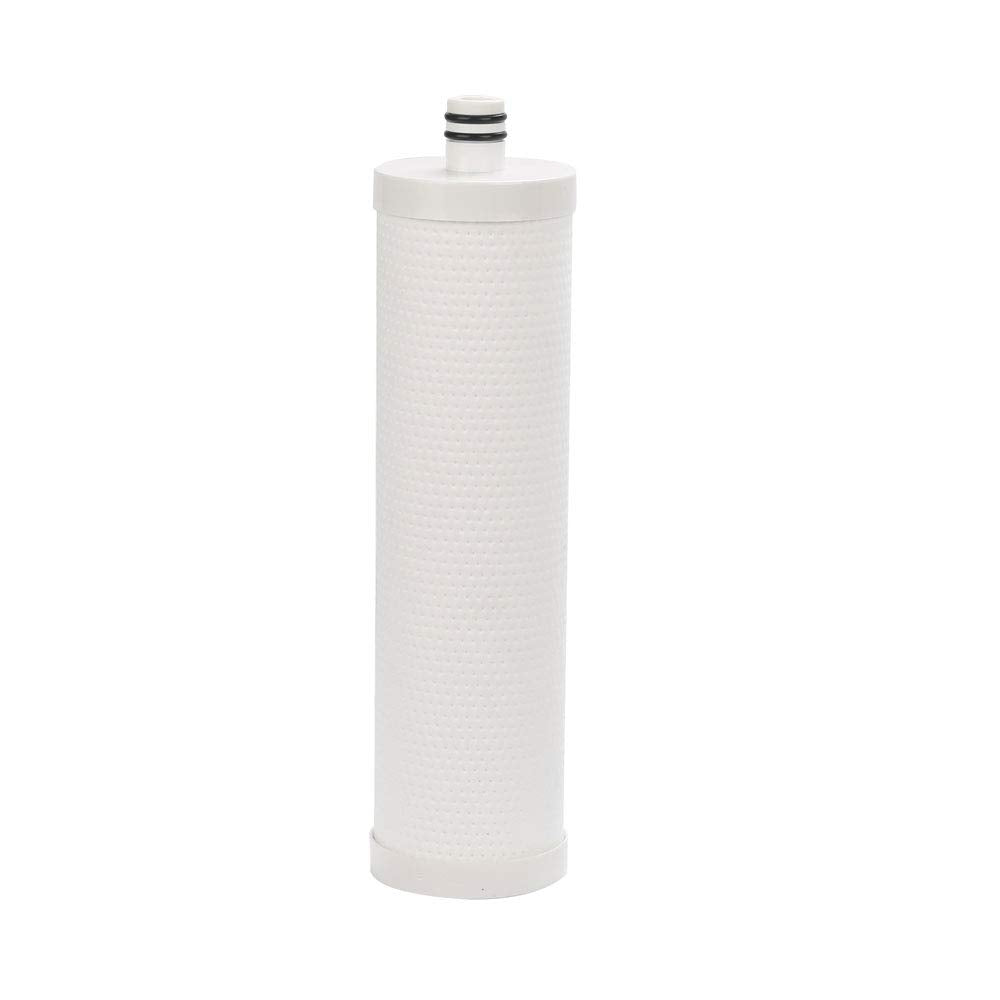 Frizzlife FZ-2 - Cartucho de filtro de repuesto para MP99, MK99, MS99 filtro de agua debajo del fregadero y filtro MV99 RV