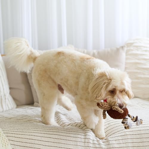 Juguete para Perros Ethical Pets Pollo Gigglers Multicolor