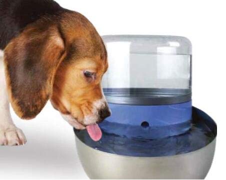 Filtros en Forma de T Pioneer Pet 3 Pack para Alimentos, Agua y Fuente Serena