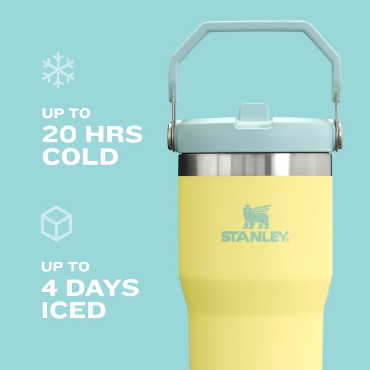 Vaso Stanley ciruela con Asa y Popote Abatible, 20 onzas, Acero Inoxidable Aislado, Resistente a Fugas, sin BPA