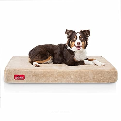 Cama para perro ortopédica de Memory Foam de 10 cm Brindle: cubierta de velvetón extraíble con lino impermeable, tamaño mediano, color caqui, 86 x 56 cm