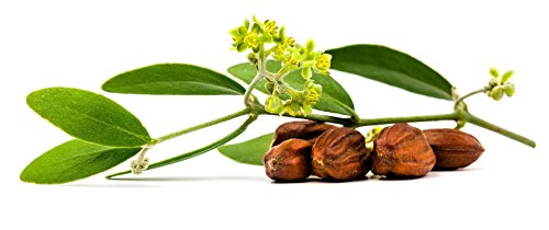 JYE Aceite de Jojoba Natural, Contenido 60 ML