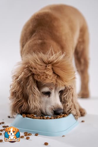 Plato para Alimentación Lenta P.U.P. SUPPLY Azul Claro para Perro y Mascotas