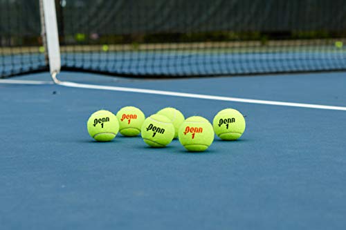 Pelotas de Tenis Penn Championship Uso Regular Paquete de 12