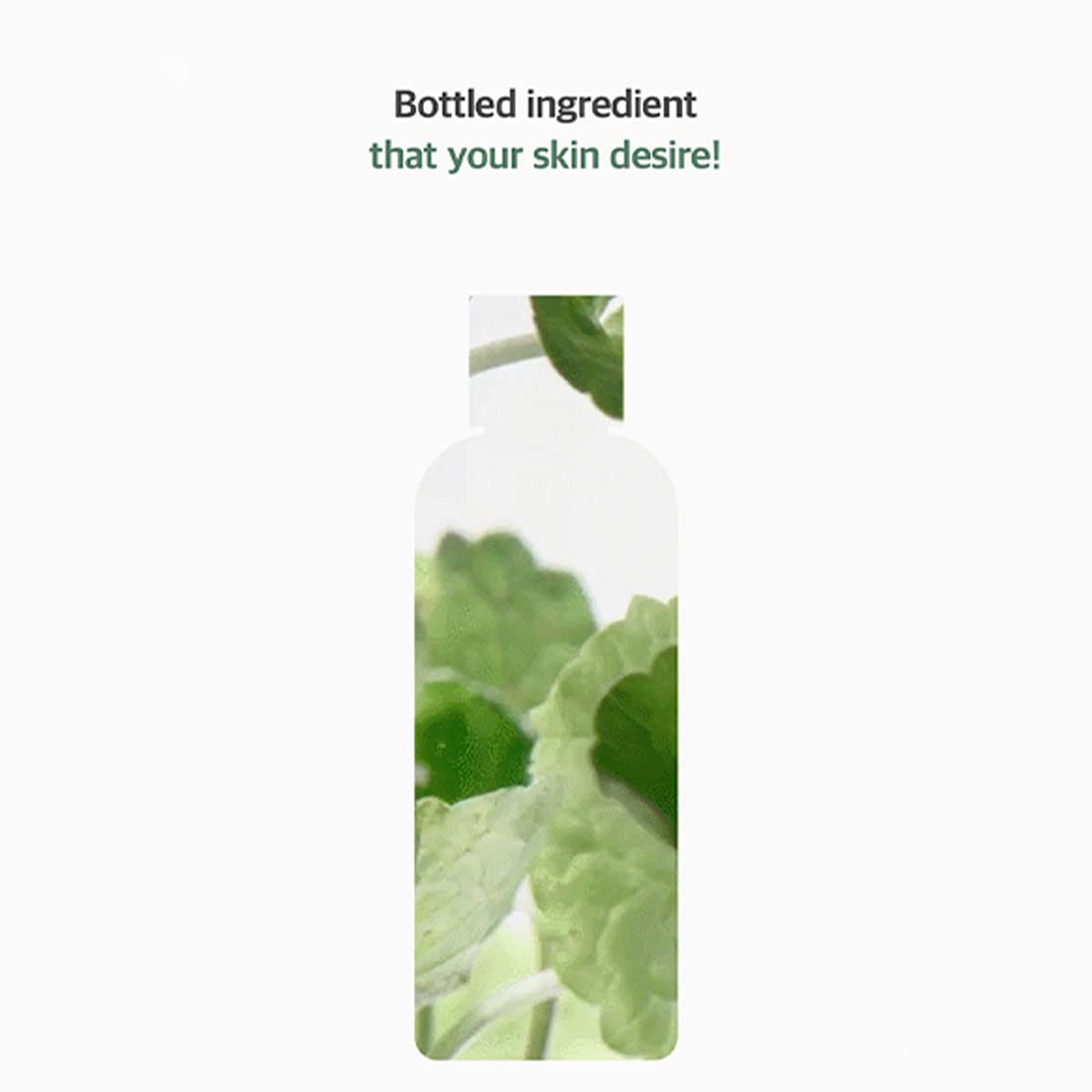 MIXSOON - Centella Asiatica Toner - 150ml / 5.07 fl. oz.