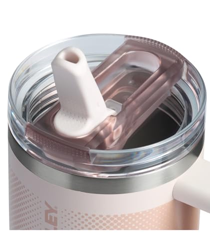 Vaso Stanley Quencher ProTour Negro con Popote Abatible para Viajes de 20 Onzas
