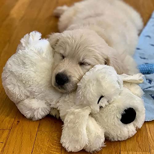 Juguete Comportamental Smart Pet Love Snuggle Puppy Dorado
