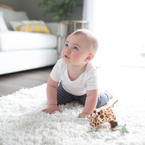 Soporte para Chupete y Mordedor Dr. Brown's Jirafa HappyPaci Verde Claro para Bebé 0-12 Meses