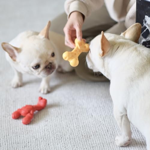 Juguete para Perros Nylabone Langosta Sabor Filet Mignon para Masticadores Agresivos