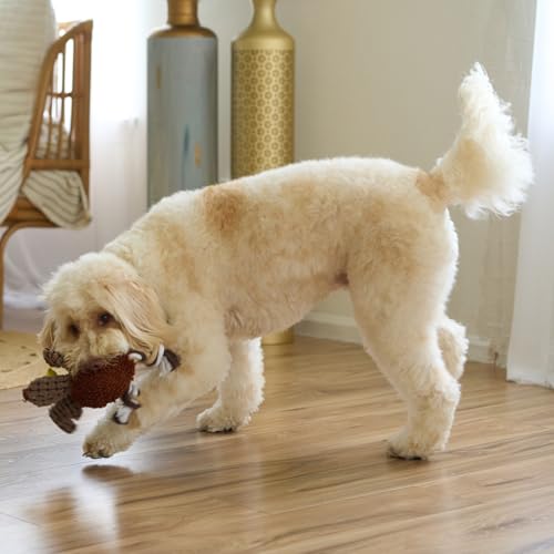 Juguete para Perros Ethical Pets Pollo Gigglers Multicolor