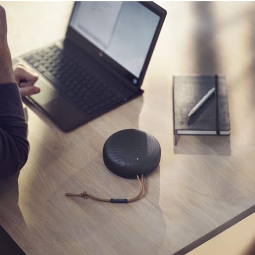 Bang & Olufsen Beosound A1 - Altavoz Bluetooth portátil de 2ª generación con Asistencia de Voz e integración Alexa