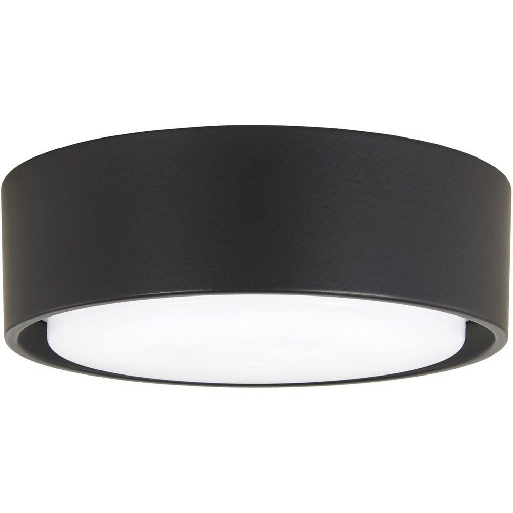 Kit de Luz Simple Minka-Aire Carbón para F787