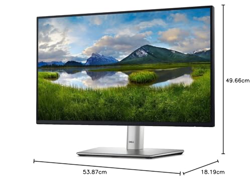 Dell 23,8 Monitor P2425H
