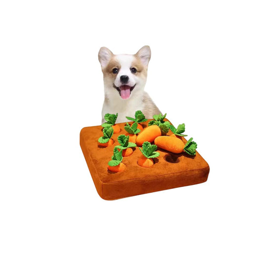Juguetes de peluche para perros de 13.7 x 13.7 pulgadas, alfombras de juguete de zanahoria, juguetes interactivos para perros, juguetes para masticar con 12 zanahorias de felpa para perros pequeños, alivio del estrés