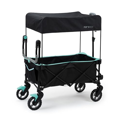 Cochecito Transportador Summer by Ingenuity Negro Verde Azulado con Techo para Bebés