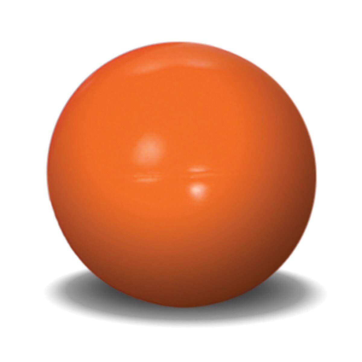 Pelota para Perros Doggie Dooley 4.5 Pulgadas Indestructible