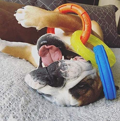 Remolcador de 3 Anillos Nerf Dog TPR