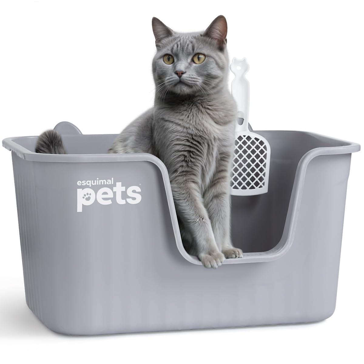 Arenero Inodoro ESQUIMAL Gris Grande con Paredes Altas y Pala para Gato