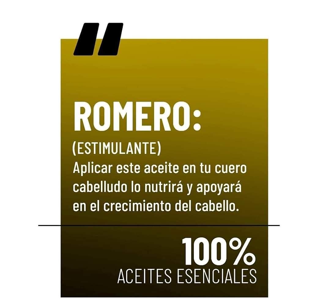 OLEUM VITAE Aceite Hidratante para Cabello y Cuerpo con Aceites Esenciales de Menta y Romero presentación 60 ml botella de vidrio ámbar para la protección de los ingredientes naturales