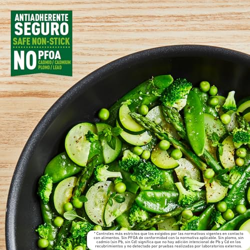 Batería de Cocina T-FAL Vital Negra Antiadherente Easy Plus de 11 Piezas