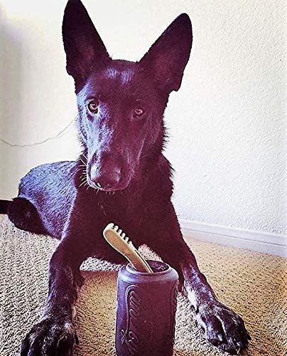 Juguete de Goma Natural SodaPup Negro Dispensador de Golosinas Alimentador Lento para Masticadores Más Agresivos para Perros Grandes
